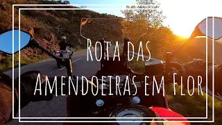 Rota das Amendoeiras em Flor – Vila Nova de Foz Côa
