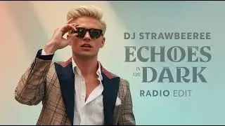DJ Strawbeeree - Echoes in the Dark (Radio Edit) #indiepop #singersongwriter #lofihiphop #melancolic