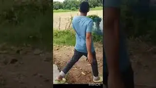 respect #shorts #animais #funny #viral #comedy #duet #video #respect #fnn