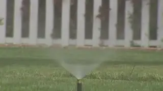Los Angeles receives most water waste complaints ever