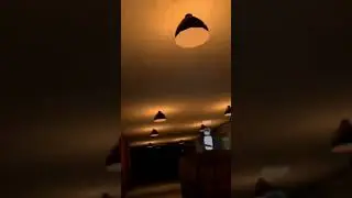 Scary lemur