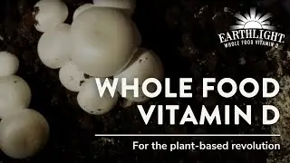 Whole Food Vitamin D For the Plant-Based Revolution - Earthlight&reg;
