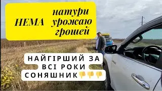 Найгірший соняшник💩піонер 130👎даром не треба❌