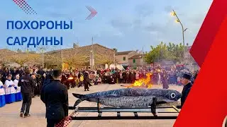 Похороны Сардиы, Майорка