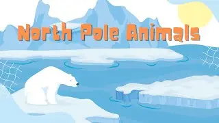 EXPLORE THE FASCINATING WORLD OF NORTH POLE ANIMALS