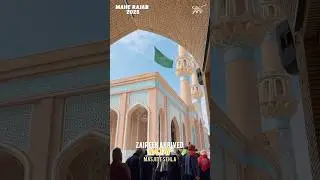 Zaireen Arrived Najaf