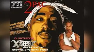XZIBIT 'FRIEND LIKE ME' (2PAC) ENEMIES & FRIENDS REMIX  @xzibit @2PacOfficialYT #hiphop #remix #rap