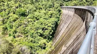 Трек с кучей водопадов и дамбой Upper Nihotupu Walk, Piha / Track with bunch of waterfalls and a dam