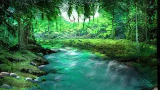 Chult Jungle Ambience | Jungle Sounds for Roleplaying | DnD