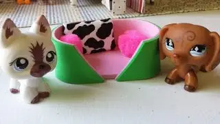 How to Make an LPS Dog Pet Bed 2: Doll DIY