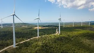 How to reach net-zero carbon emissions by 2020