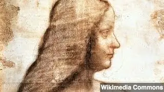 Long-Lost da Vinci Painting Found?