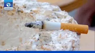 Dangers Of Cigarette To Health And Environment | EcoAfrica