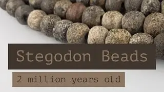 Stegodon Bone Beads with The Bead Gallery, Honolulu