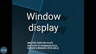 Window Display (Advertising)