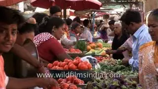 Indian housewives buy fresh vegetables in Rajasthan