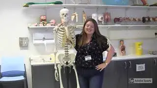 UEA Nursing Society