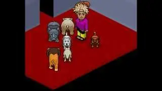 Il nuovo retroserver di habbo Ocean Hotel /./