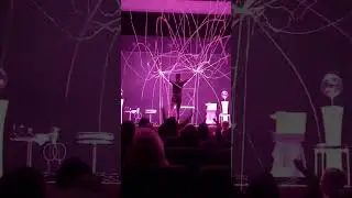 🫧 Like Spider Man 🕸️ #bubbles #entertainment #soapbubbles #viral #magic #circus #shorts #funny