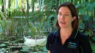 Tracing the origin and fate of the environmentally detrimental sediment and  bioavailable nutrients?