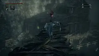 Brador invades the Hunter - Bloodborne