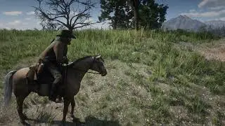 Red Dead Redemption 2 Noob Lets Play Folge 11