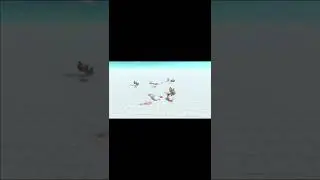 Polar Bears vs Skeleton Warriors - Animal Revolt Battle Simulator Shorts
