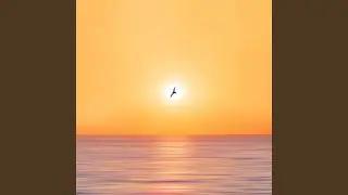 Nature's Serenade for Cats by the Ocean