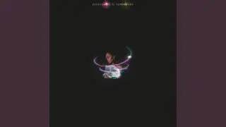 Life of a Lotus (feat. alecbe//)