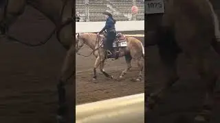 Spook with A Spark Reining
