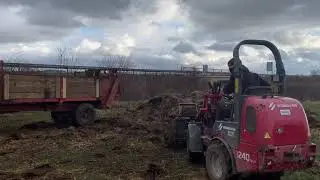Weidemann 1240 beim Mist laden