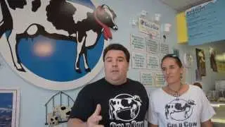 Jason and Laura Welty of Cold Cow ice cream