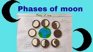 Phases of the Moon Using Oreo Biscuits 🌙 | Fun Science Activity