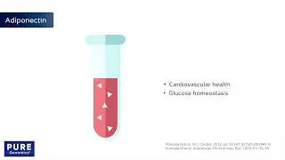 PureGenomics - Adiponectin Trait Tutorial