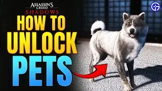 How to Unlock Pets in Assassin&rsquo;s Creed Shadows (Quick Guide)