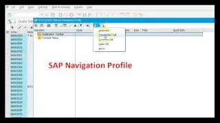 Как использовать профиль навигации в информационной системе заказов SAP PP/PPPI