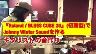 『Roland Blues Cube30』(初期型)の試奏動画。JohnnyWinter Soundを目指す