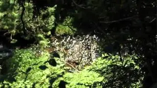 Mega Quarry Film