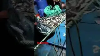 Goa best fishing video #shorts #shortvideo