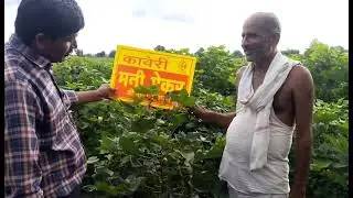 Kaveri Cotton Money Maker