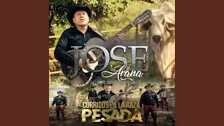 Corrido del Mejoral (En vivo)