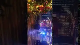 Bonnington & McGettigan's Staff Party 2017 (III)