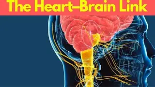 Healthy Heart, Healthy Mind: The Powerful Connection Science Never Told You