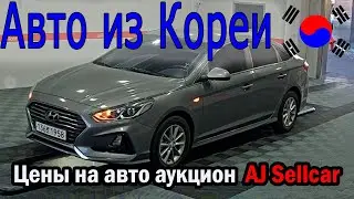 Результаты 26 января 2022 аукцион AJ Sellcar HYUNDAI SONATA и KIA K5