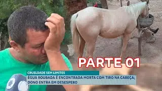 CRUELDADE SEM LIMITES: &Eacute;GUA ROUBADA &Eacute; ENCONTRADA MORTA COM TIRO NA CABE&Ccedil;A; DONO ENTRA EM DESESPERO