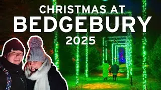 Рождество в Беджбери 2025 | Рождественская световая тропа в Национальном сосновом парке Беджбери