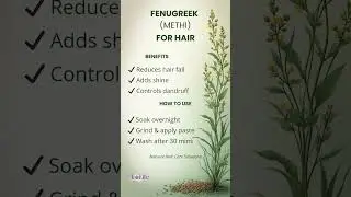 Fenugreek for Hair | Stop Hair Fall Naturally | FENUGREEK METHI Benefits for Hair