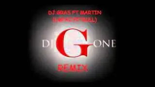 dj gras ft martin (lmfao,pitbull) remix