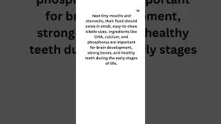 Best Food for Small Breed Puppies Top Nutrition Choices for Healthy Growth #shorts