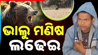 ଭାଲୁ ମଣିଷ ଲଢେଇ | Bear Attack In Balasore's Nilagiri | Argus News | Minor 9th Class Boy Injured